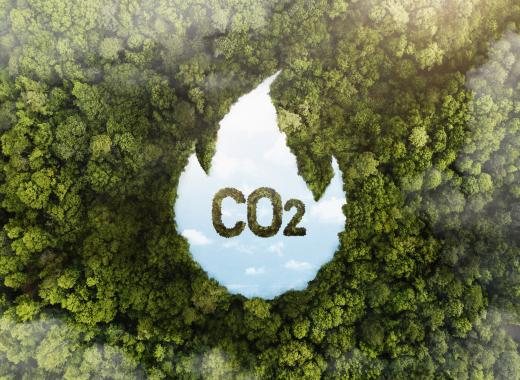 Eco-Friendly Driving Tips to Reduce Your Carbon Footprint