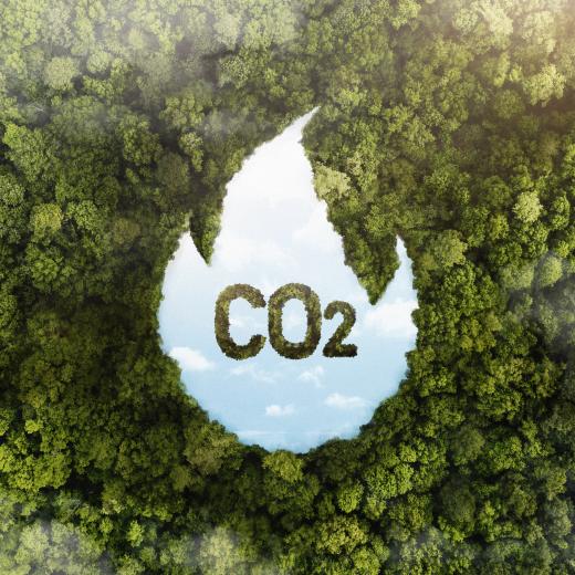 Eco-Friendly Driving Tips to Reduce Your Carbon Footprint