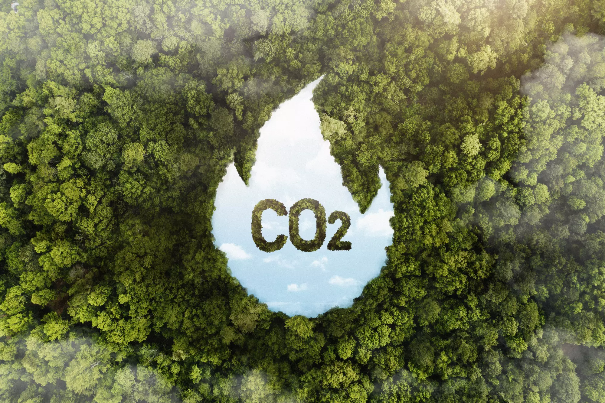 Eco-Friendly Driving Tips to Reduce Your Carbon Footprint