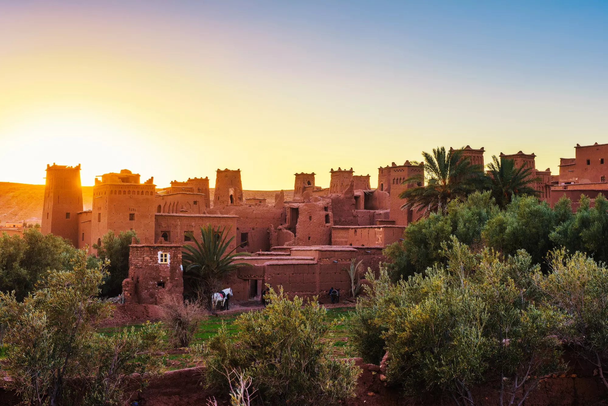 Car Rentals in Morocco
